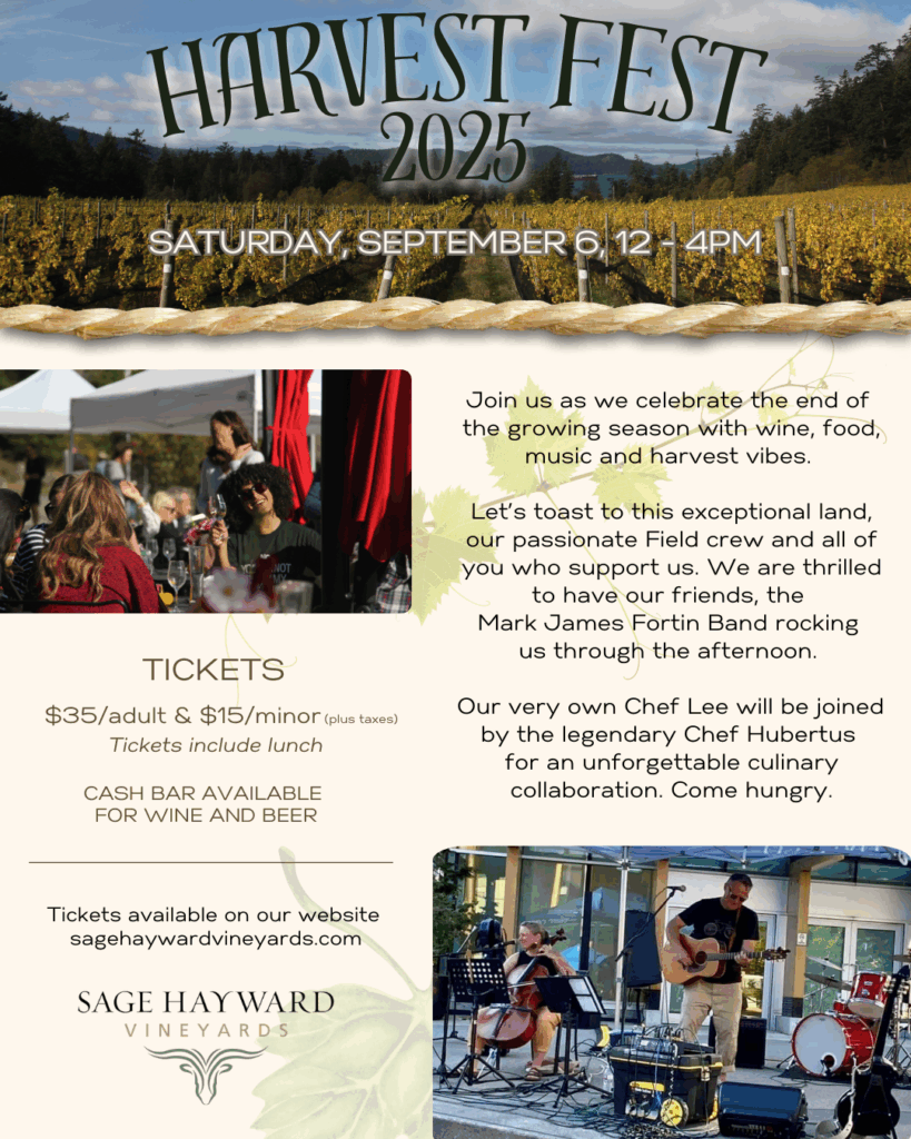 Harvest Festival, 2025